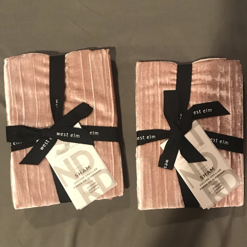 Two West Elm Crinkle Velvet Standard Shams